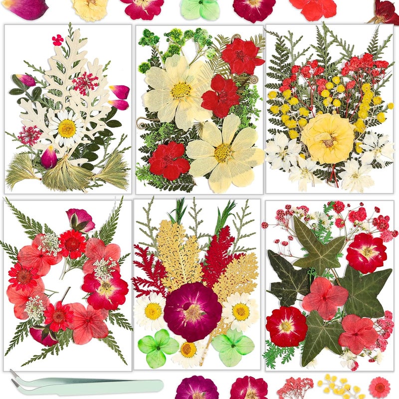 Resiners Dried Flowers, 6 Pack Pressed Flowers for Christmas Craft 100% Real Natural Dried Flowers Kits for Christmas DIY Making Crafts Resin Soap Candle Making Jewelry Scrapbook Supplies Card - Image 1
